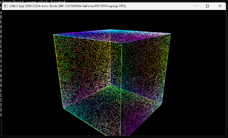 the cube